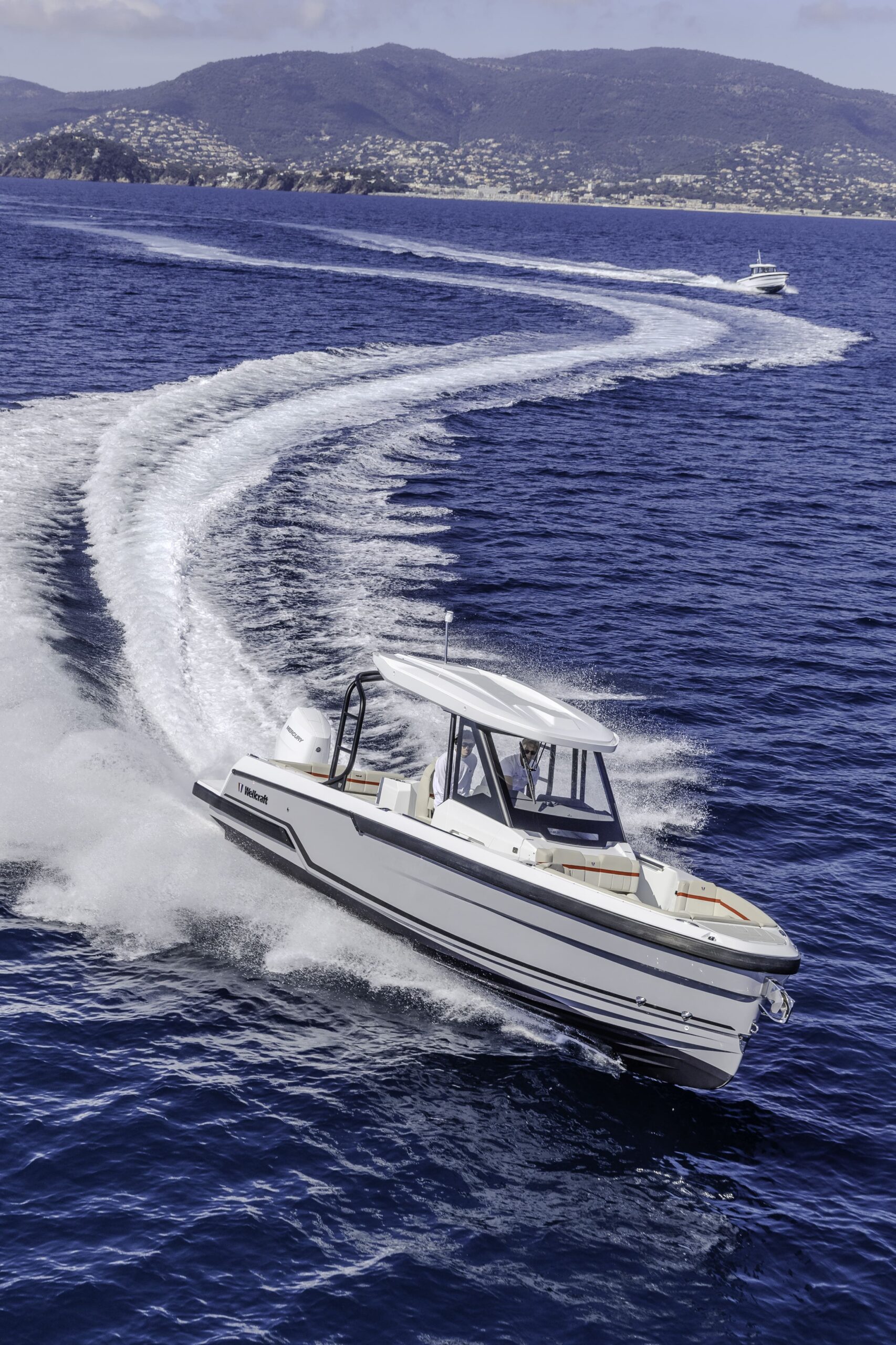 Wellcraft 28 T-TOP - immagine 81