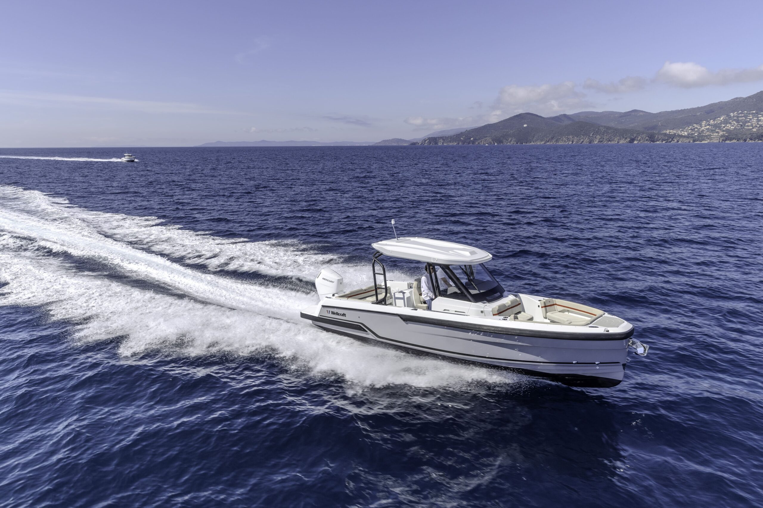 Wellcraft 28 T-TOP - immagine 90
