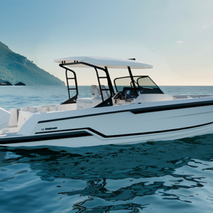 Wellcraft 28 T-TOP