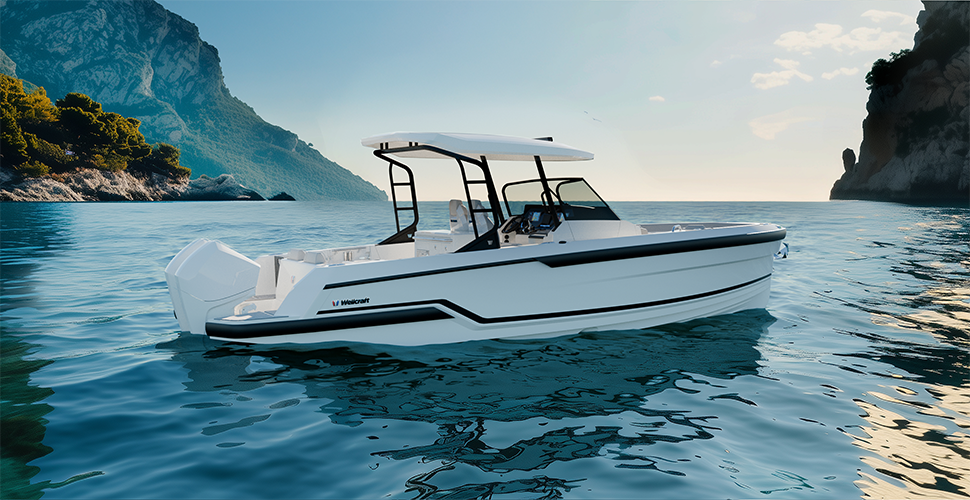 Wellcraft 28 T-TOP